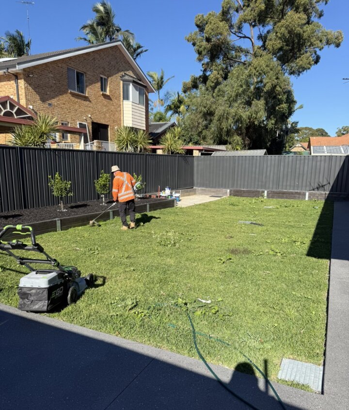 Mowing a newly laid backyard lawn on a PrimeGround job